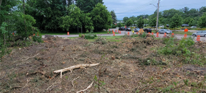 Crews performed clearing and grubbing work along the future Champlain Parkway alignment in preparation for construction. Clearing is the removal of vegetation above the ground such as trees and bushes and grubbing is the removal of subsurface vegetation such as stumps. Pictured near Briggs Street and Ferguson Avenue.