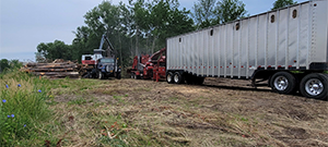 Crews performed clearing and grubbing work along the future Champlain Parkway alignment in preparation for construction. Clearing is the removal of vegetation above the ground such as trees and bushes and grubbing is the removal of subsurface vegetation such as stumps.
